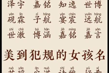 成姓女孩名字大全-成姓女孩起名字大全-成姓名字大全姓名