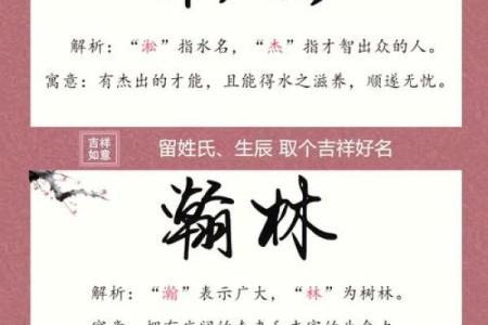 2019年处暑出生缺木男孩名字赏析姓名