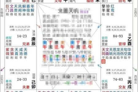 紫薇斗数看创业用什么宫位