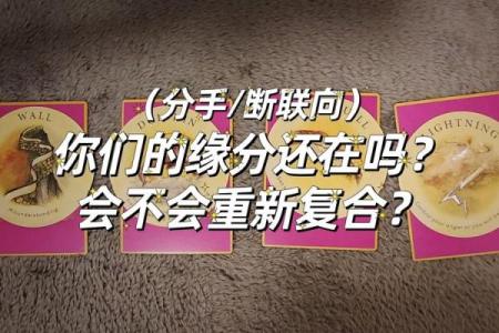 塔罗测试这一次你们还会复合吗 彻底缘分尽了吗