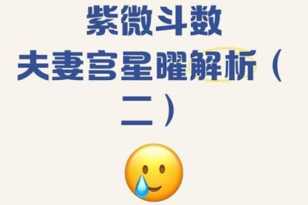 紫薇斗数感情多波折是什么意思