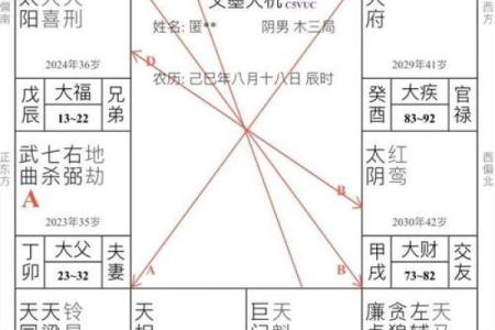 紫薇斗数命宫好