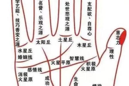 女性手掌纹算命图解婚姻