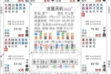 紫薇斗数的官禄宫