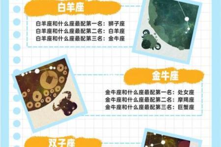 星座配对查询 男女