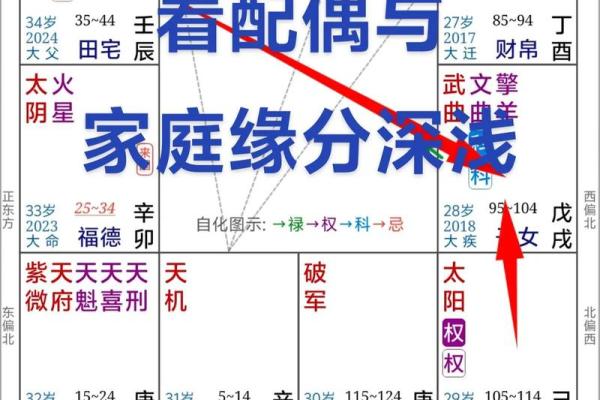 紫薇斗数看胸围