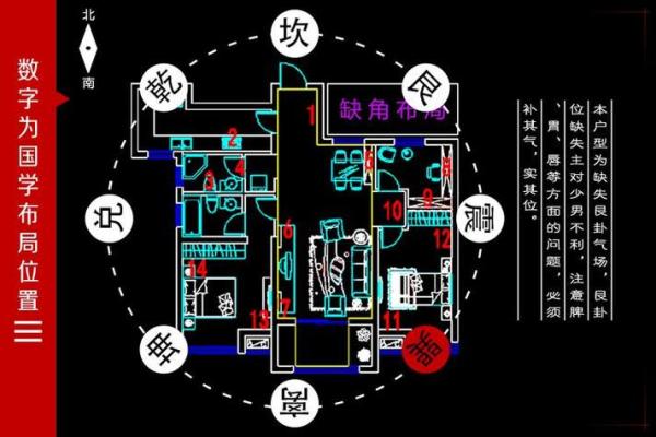 九运风水最旺的房子户型图片