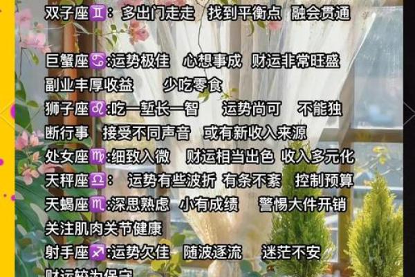 闹闹女巫 1208十二星座今日运势