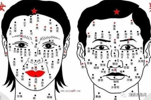 五官看面相算命图解女眼睛 眼睛看相算命图解