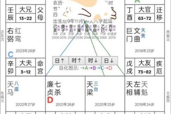 什么叫紫薇斗数限流盘