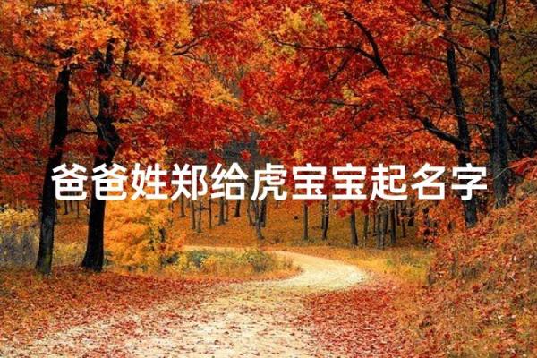 上午11点出生的属虎男孩起什么名，用什么字姓名
