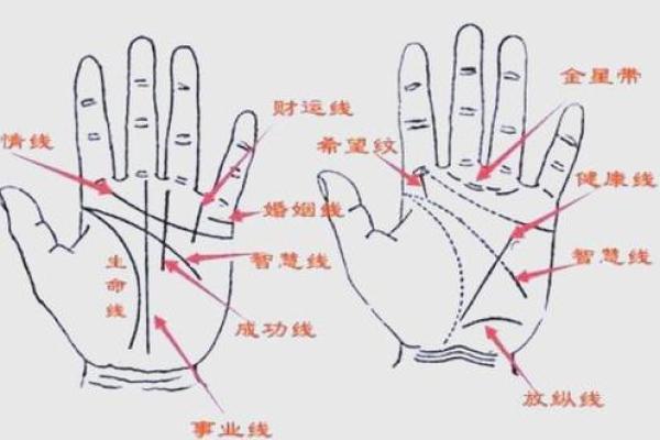 断掌手相算命说法及含义