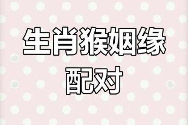 猴跟什么生肖配对最好 生肖猴最佳配对