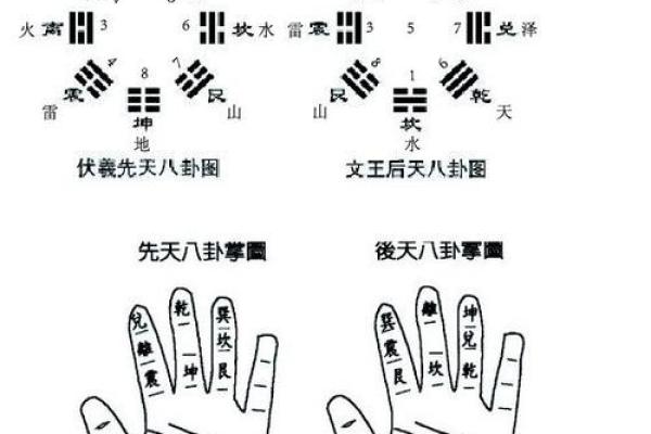 自己怎么学算命