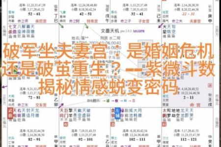 紫薇斗数怎么看配偶长相