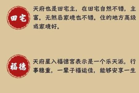 婆媳关系紫薇斗数