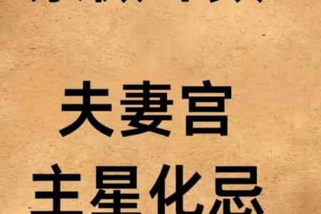 紫薇斗数看胸围