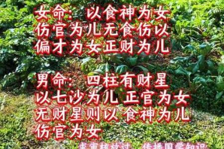 民间故事：算命仙报出生辰八字，断明荣辱祸福