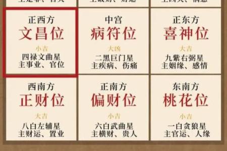 九运风水最旺的房子户型图片