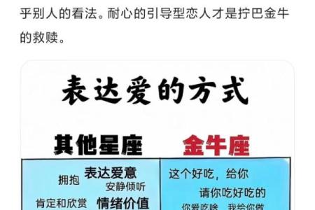 金牛座写作业的时候  哪个星座会爱上金牛座