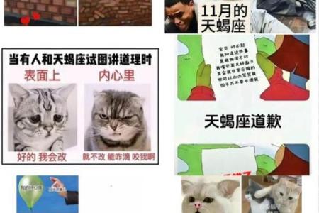天蝎座最害怕哪一个星座