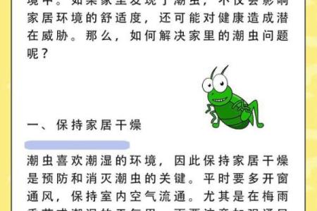 家里风水_家里突然出现多个潮虫是什么征兆