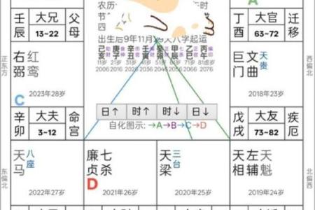 什么叫紫薇斗数限流盘