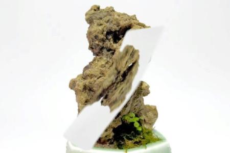 上水石风水究竟有什么风水宜忌呢