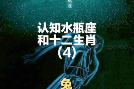 12星座最适合养什么小兔子
