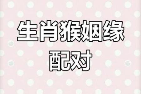 猴跟什么生肖配对最好 生肖猴最佳配对