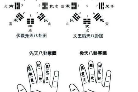 自己怎么学算命