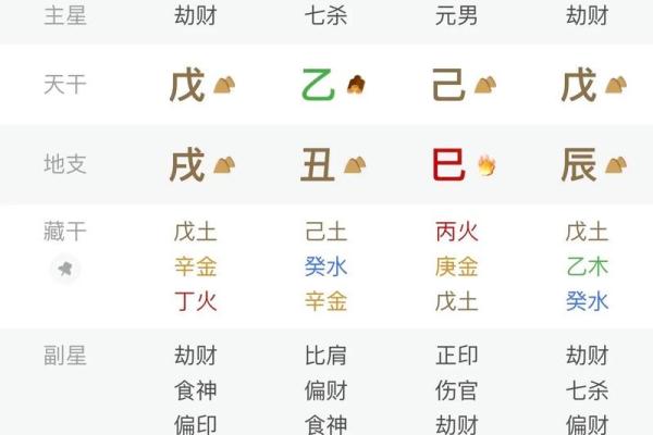 八字己巳大运是什么运势