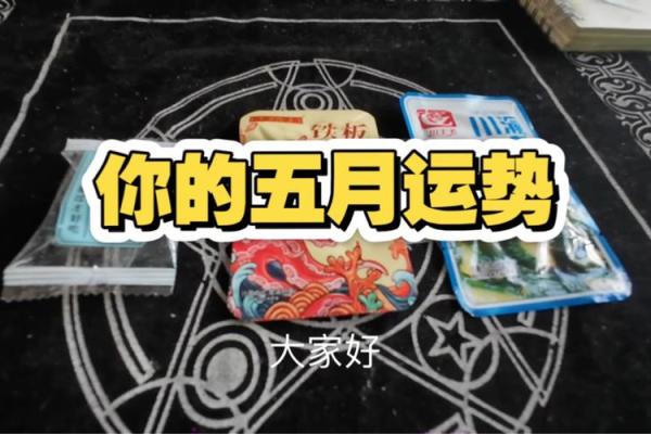 塔罗牌测试五月大家将拥有啥好运？