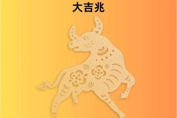 属牛的住什么方位容易沉着冷静