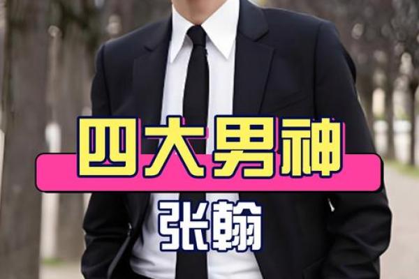 张翰八字