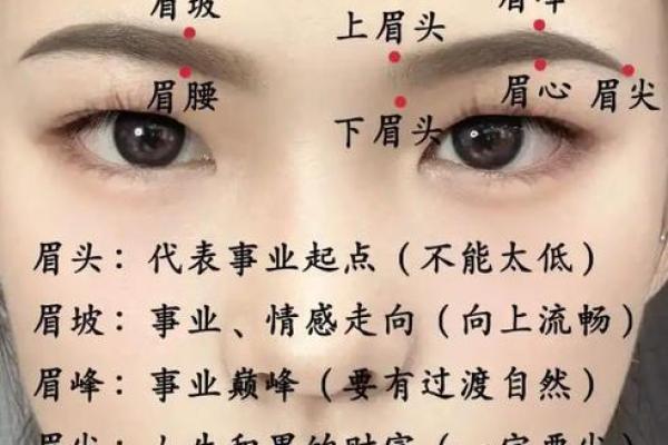 刮眉毛风水