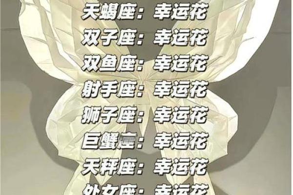 星座花语大全：每个星座的专属花语解读