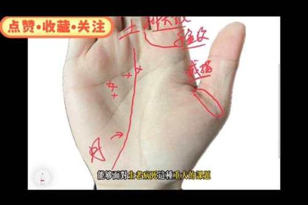 凯帝阿手相算命图解大全07