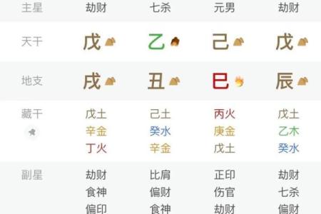 八字己巳大运是什么运势