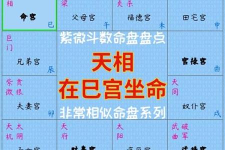 紫薇星七杀星在命宫