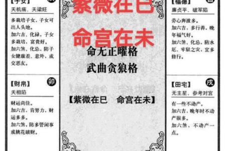 紫薇斗数子由