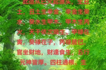 八字通根是什么意思 八字通根是啥意思