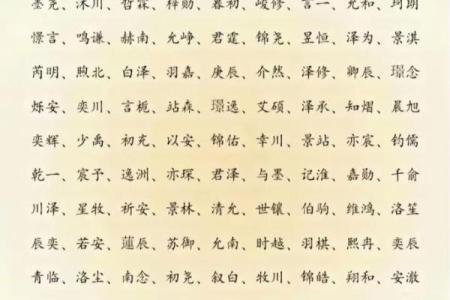 2019年3月19号酉时出生的男孩起名时要注意什么姓名