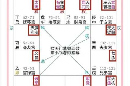关于紫薇斗数软件安卓破解版的信息