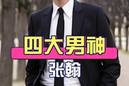 张翰八字