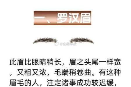 刮眉毛风水