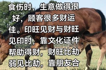 怎么看八字财运 如何看八字财运