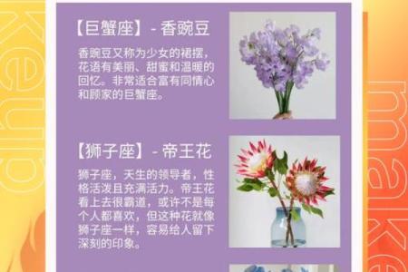星座花语大全：每个星座的专属花语解读