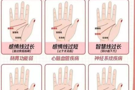 凯帝阿手相算命图解大全07
