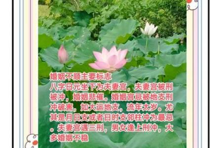 婚姻不顺，不离则死之八字实例